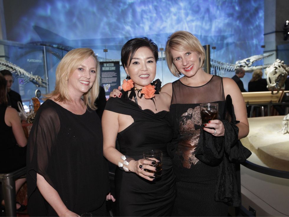 meredith camp, young cho, stacie adams, journey around the sun gala