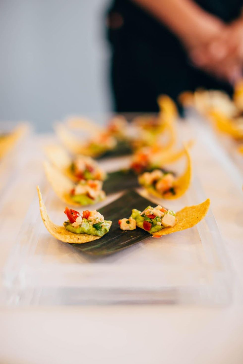 Mesero ceviche nachos, Summer Soiree 2018
