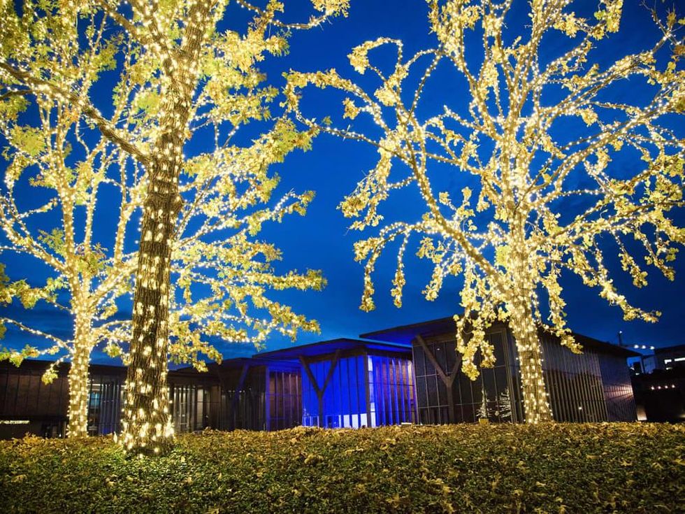 Modern Lights, Modern Art Museum of Fort Worth