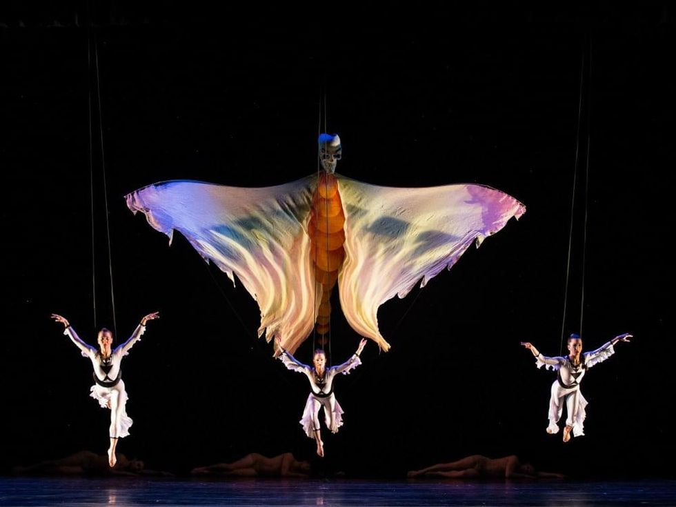 Momix: Opus Cactus