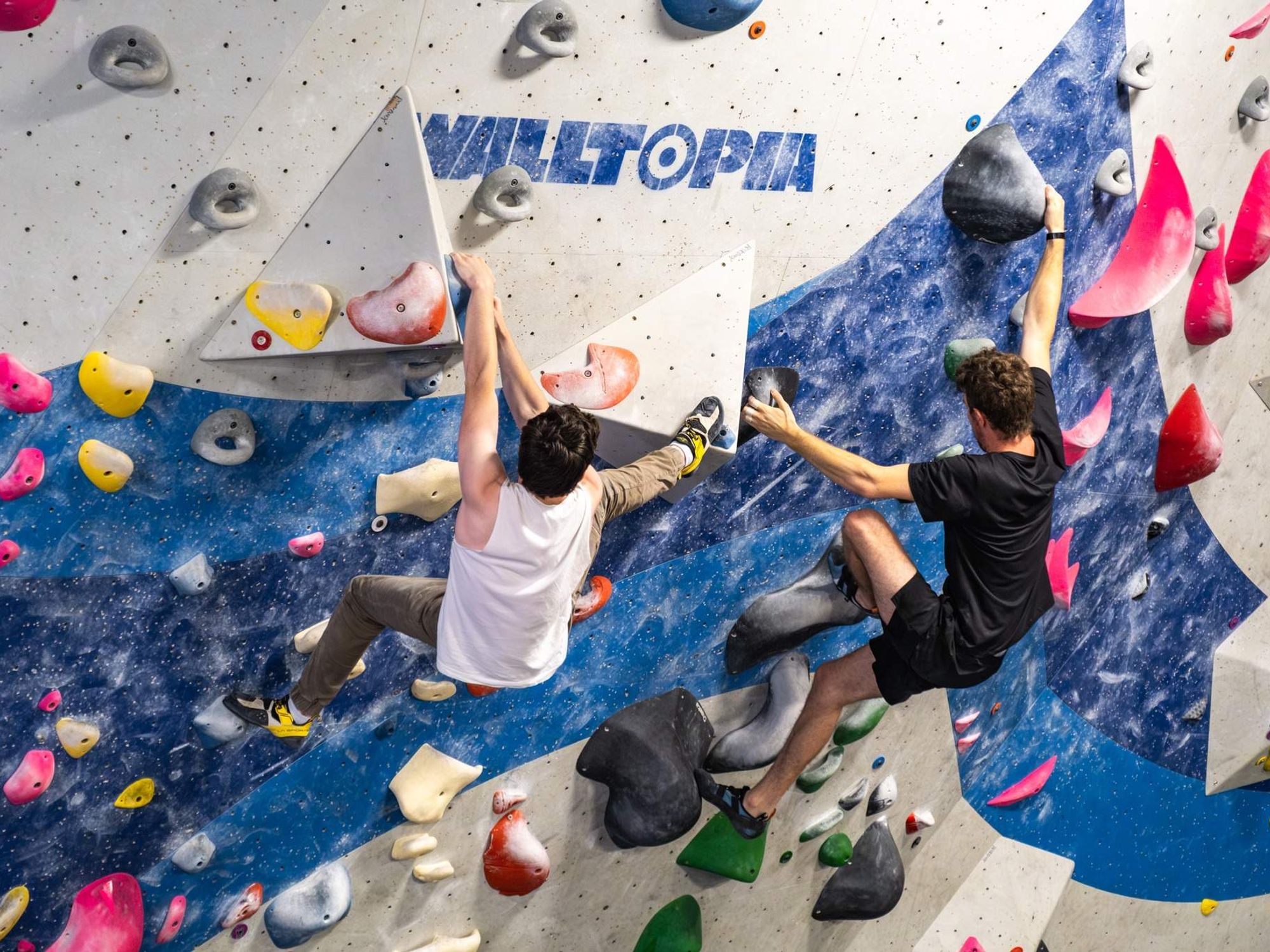 Movement climbing gym