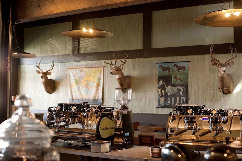 Mudsmith, coffeeshop