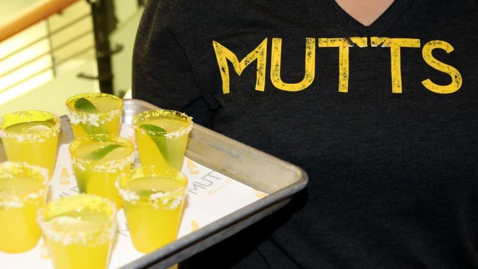 Mutts Canine Cantina