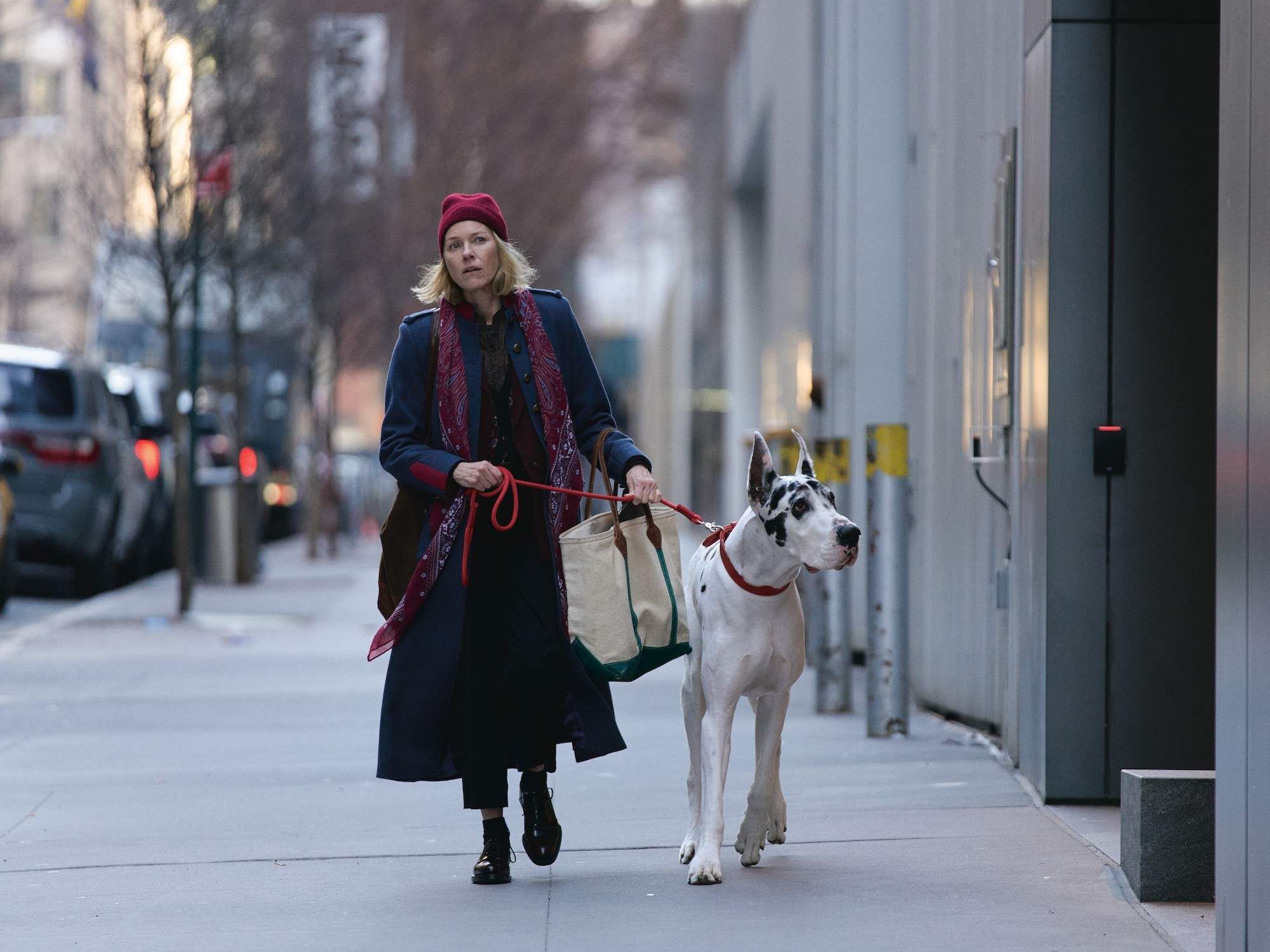 Naomi Watts and Bing in The Friend