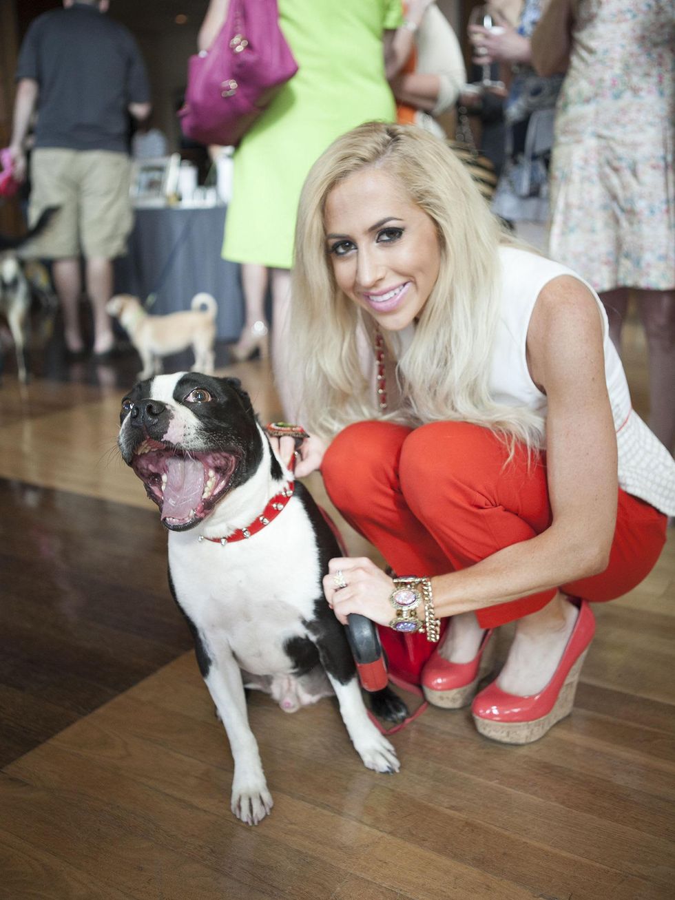 Natalie McDaniel, Henry, SPCA, Hotel Palomar