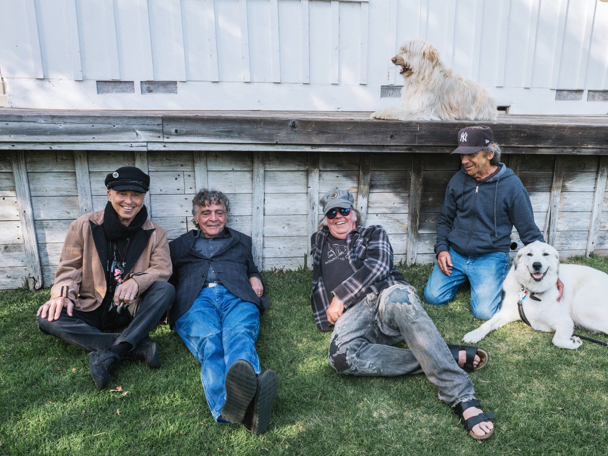 Neil Young + Crazy Horse