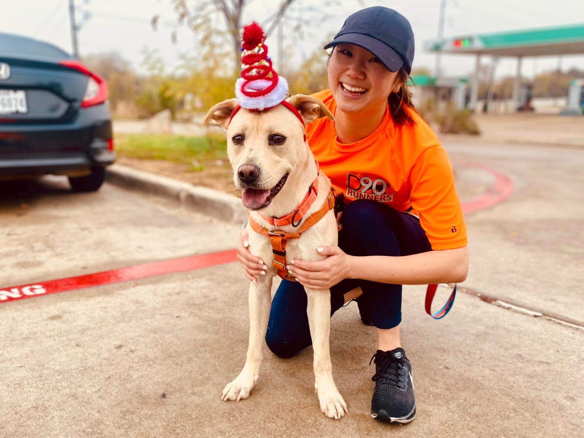 New Year's Eve: Calming the Canines