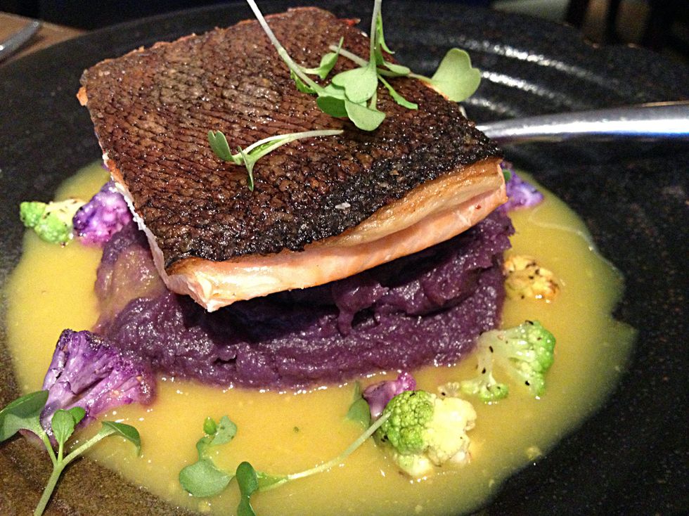 New Zealand salmon at Shinsei