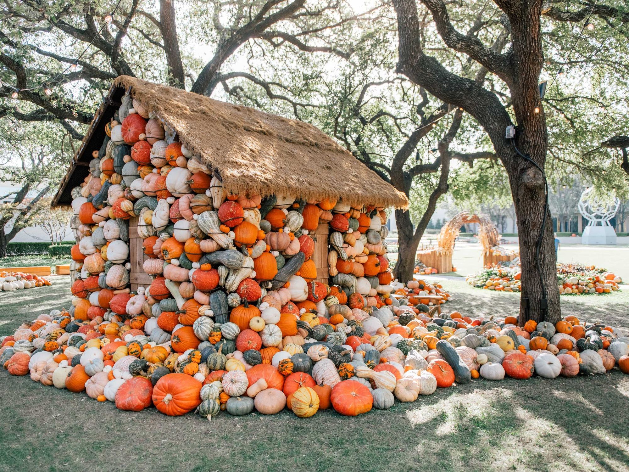 NorthPark Pumpkin Patch