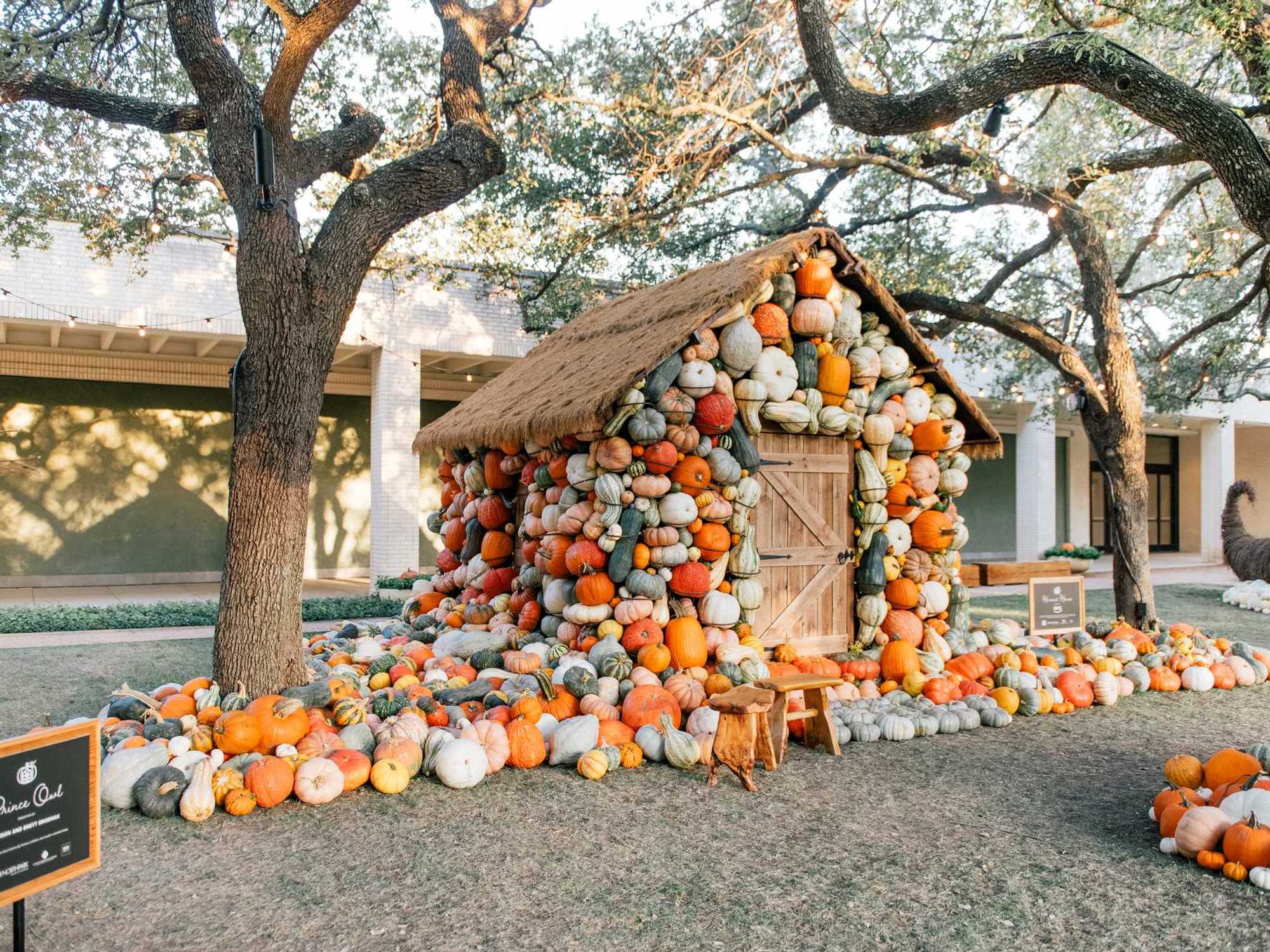 NorthPark Pumpkin Patch