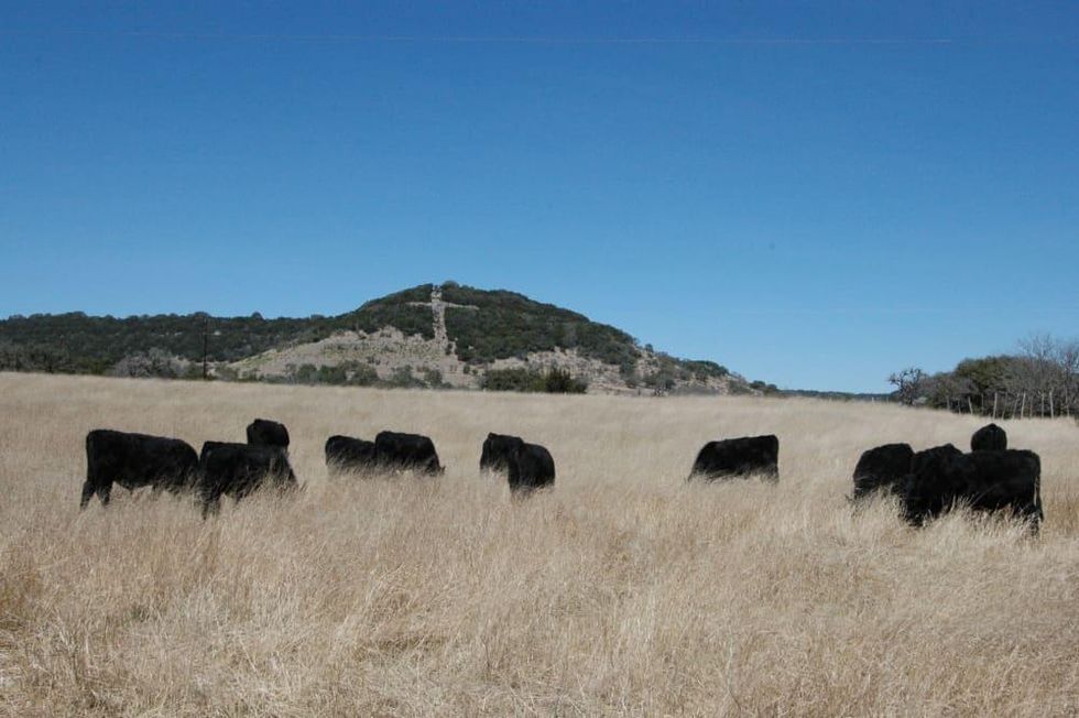 Northrup Pipe Creek Ranch
