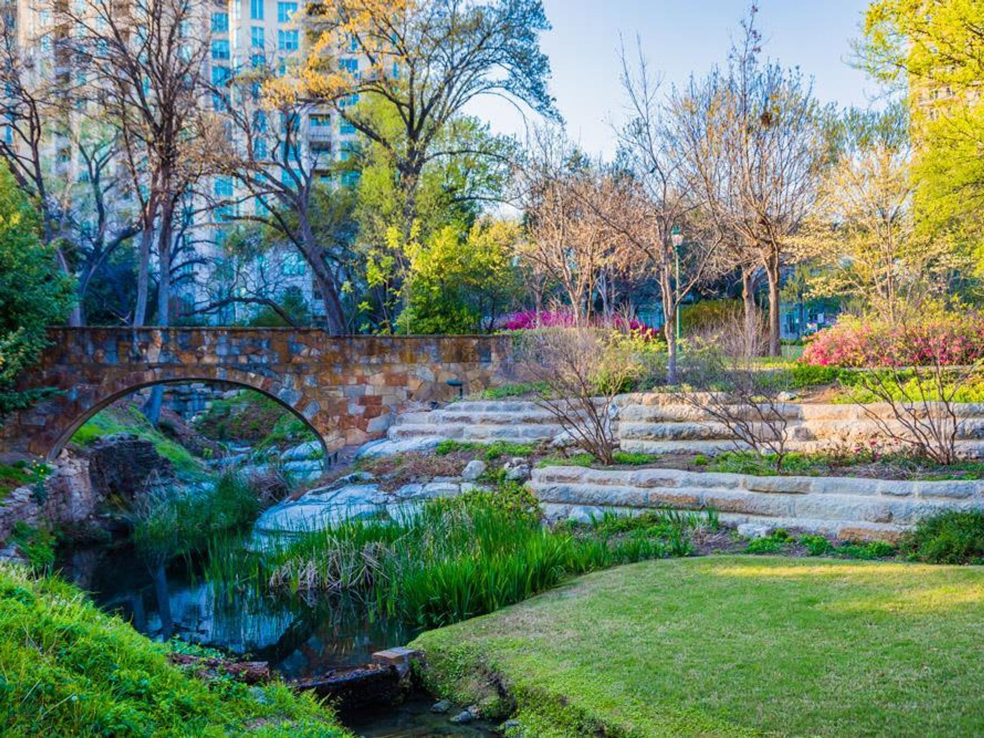 Oak Lawn Park in Dallas