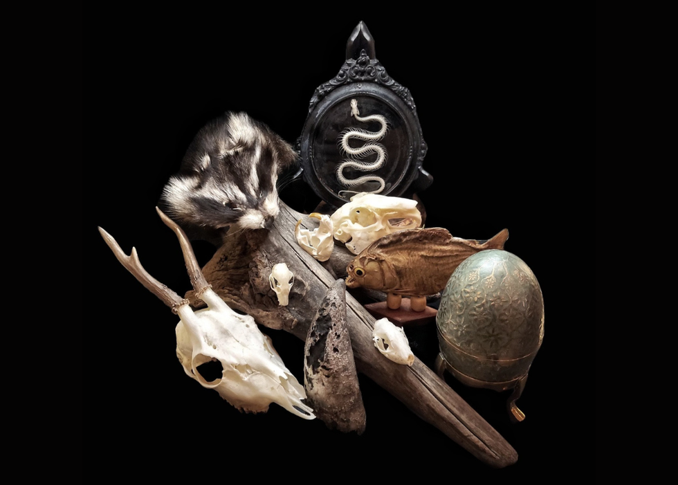 Oddities & Curiosities Expo