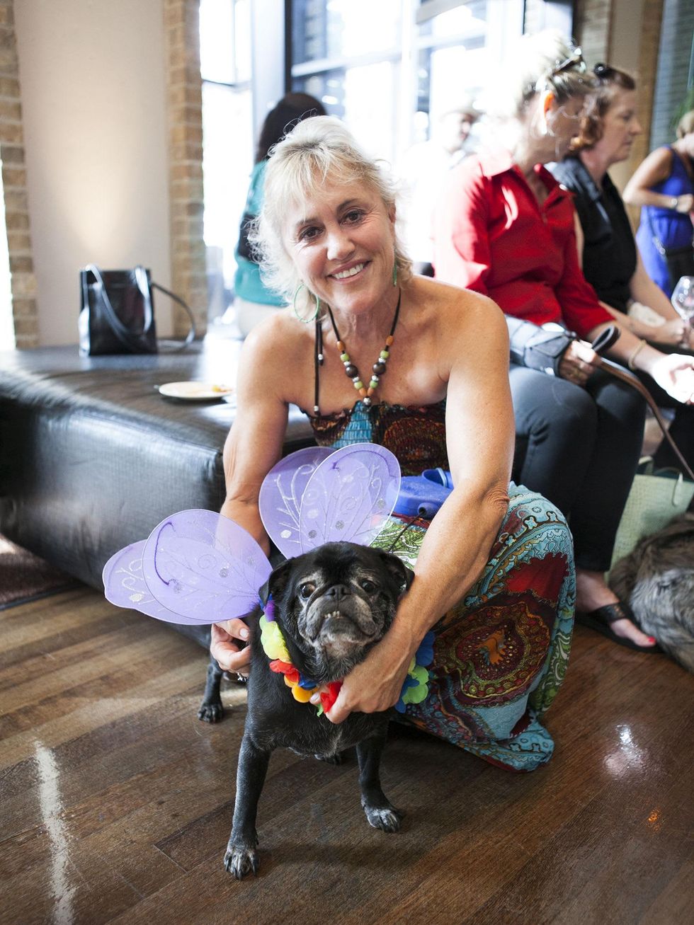 Paige Mayeux, Sumo, Hotel Palomar, SPCA