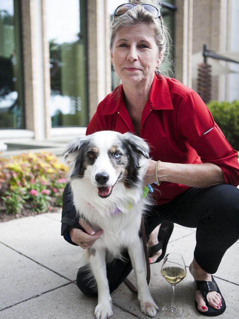 Pamela Sutherland, Boomer, Hotel Palomar, SPCA