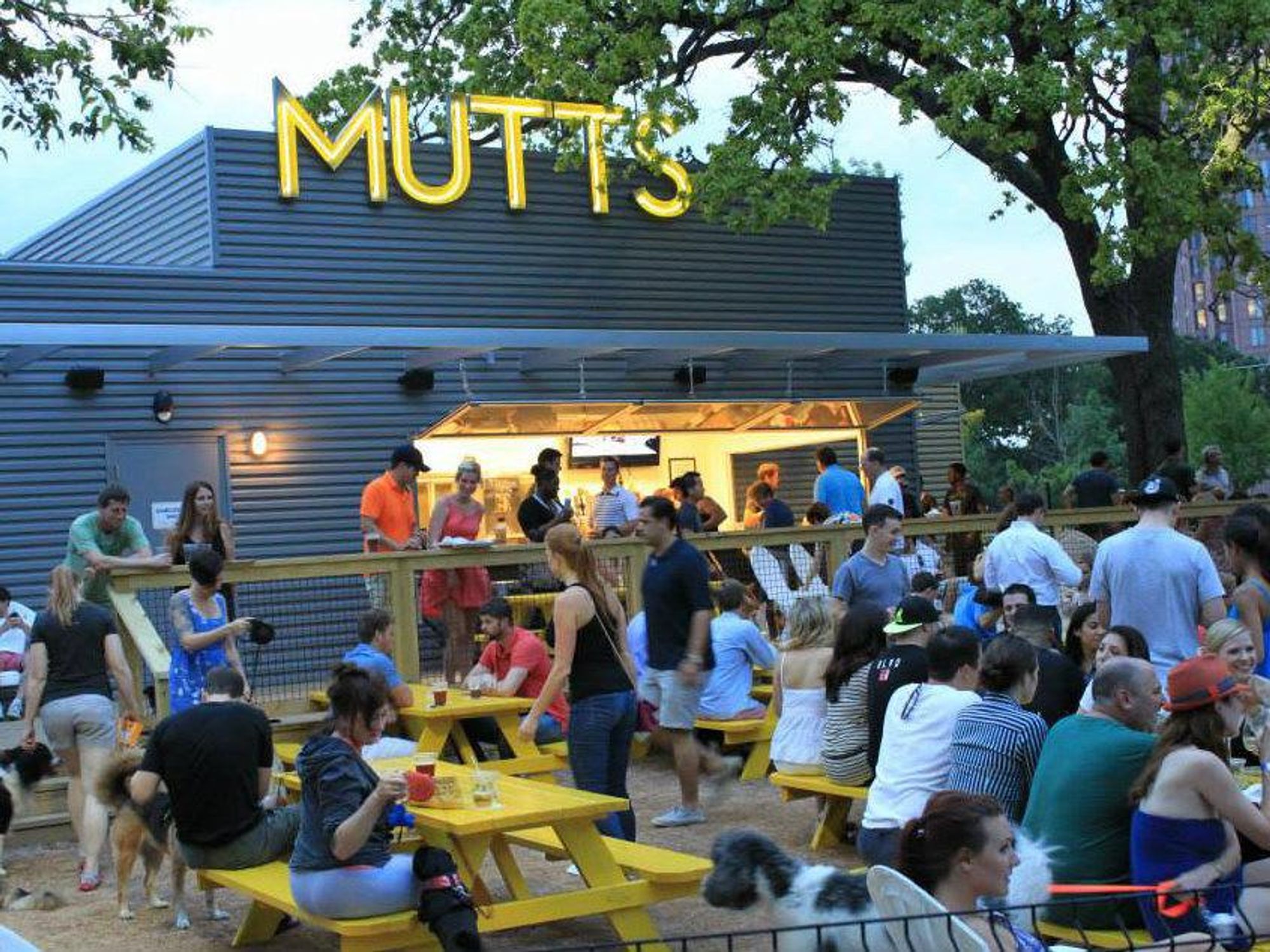 Patio at Mutts Cantina