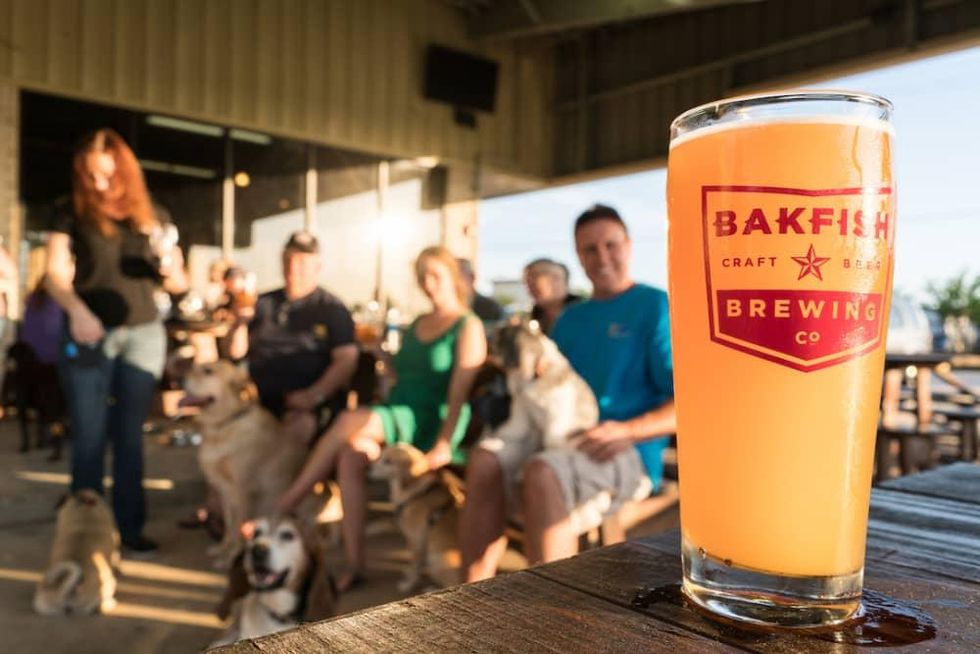 pearland bakfish craft brewery