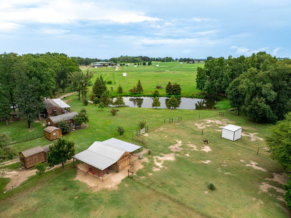 Pegasus Horse Farm in Murchison