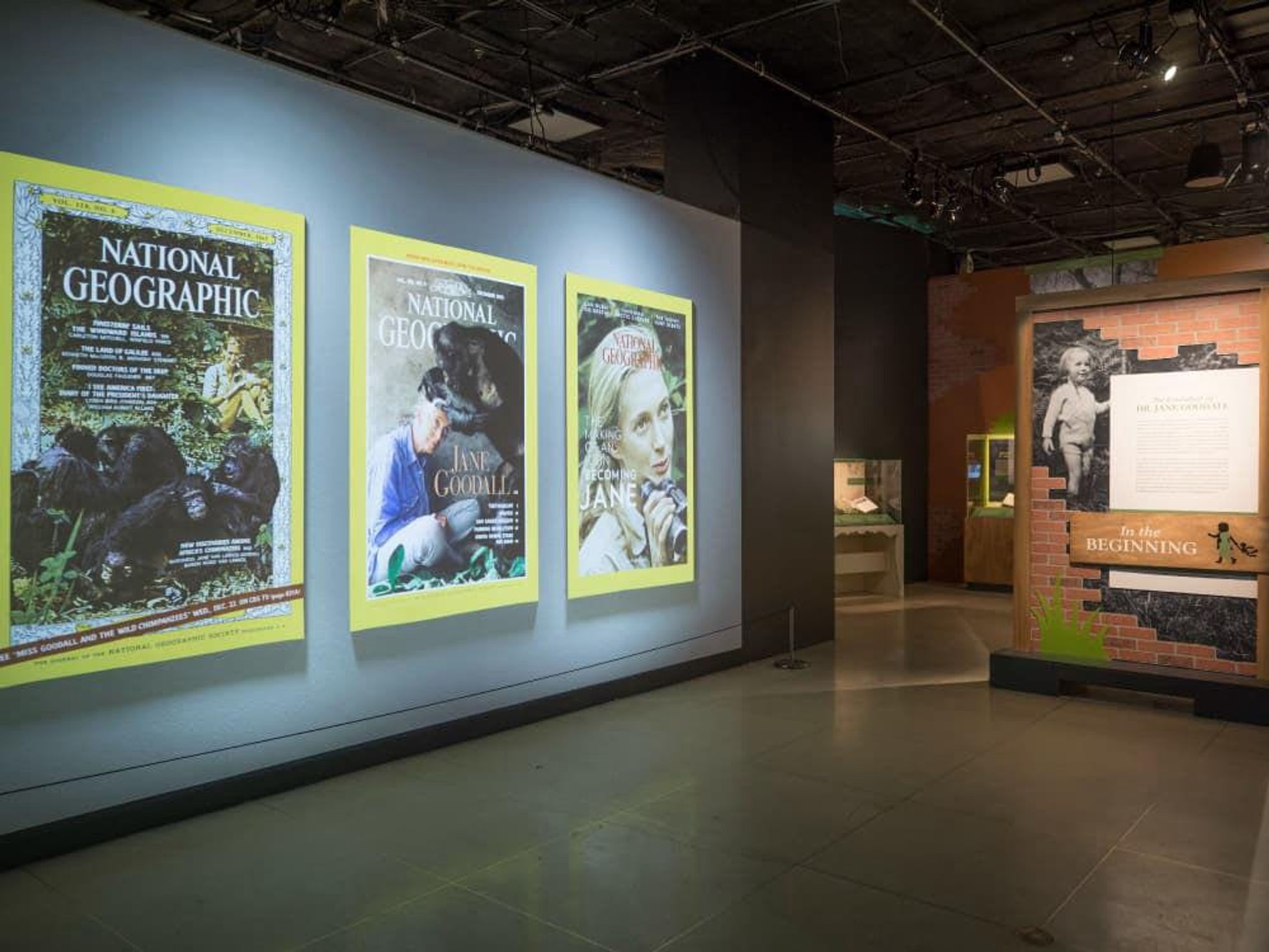 Perot Museum of Nature and Science presents “Becoming Jane: The Evolution of Dr. Jane Goodall”
