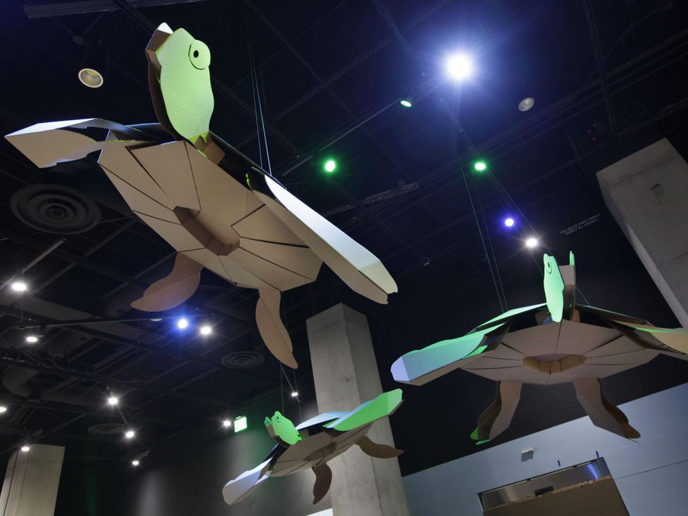 Perot Museum of Nature and Science presents Recycle Reef
