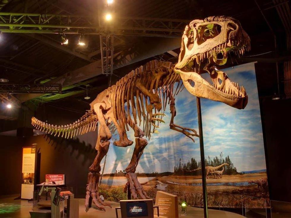 Perot Museum presents Ultimate Dinosaurs