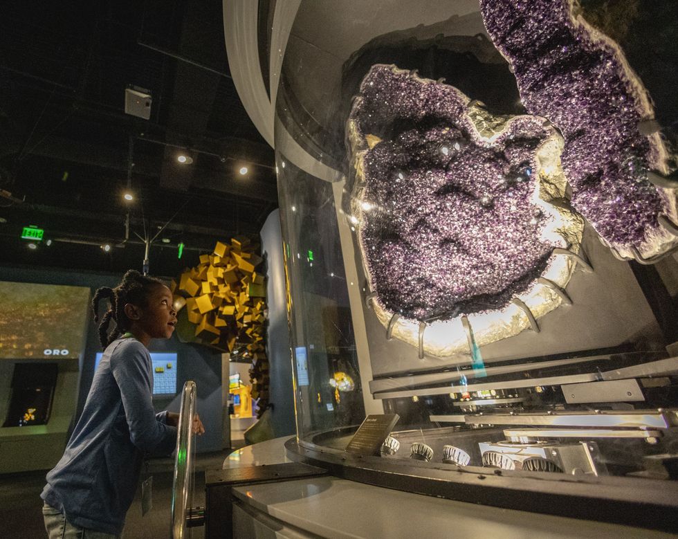 Summer adventures await for both kids and adults at the Perot Museum ...