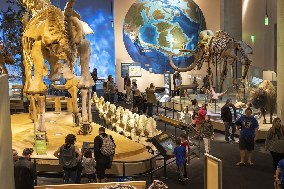 Summer adventures await for both kids and adults at the Perot Museum ...