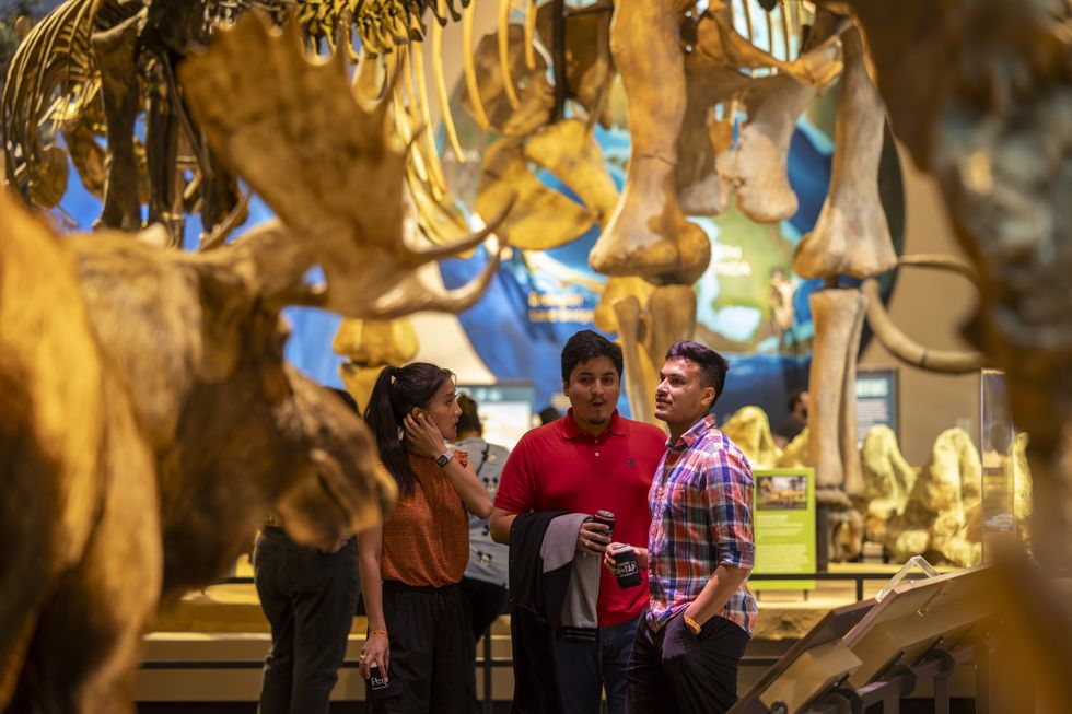 Summer adventures await for both kids and adults at the Perot Museum ...