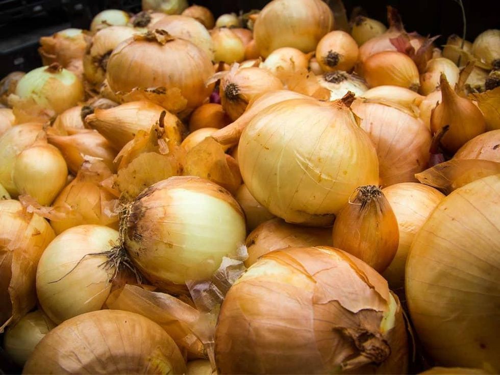 Photo of create of onions