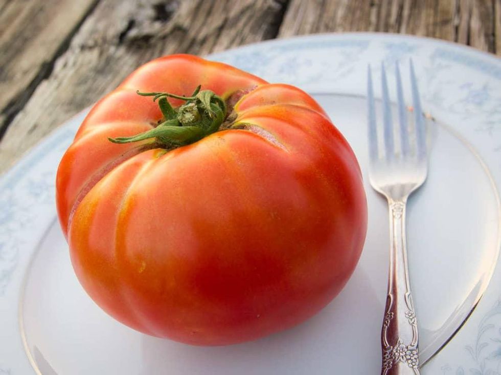 Photo of huge, slicing tomato
