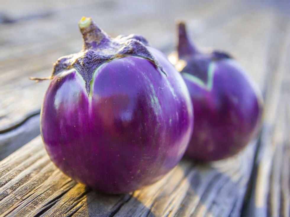 Photo of two eggplants