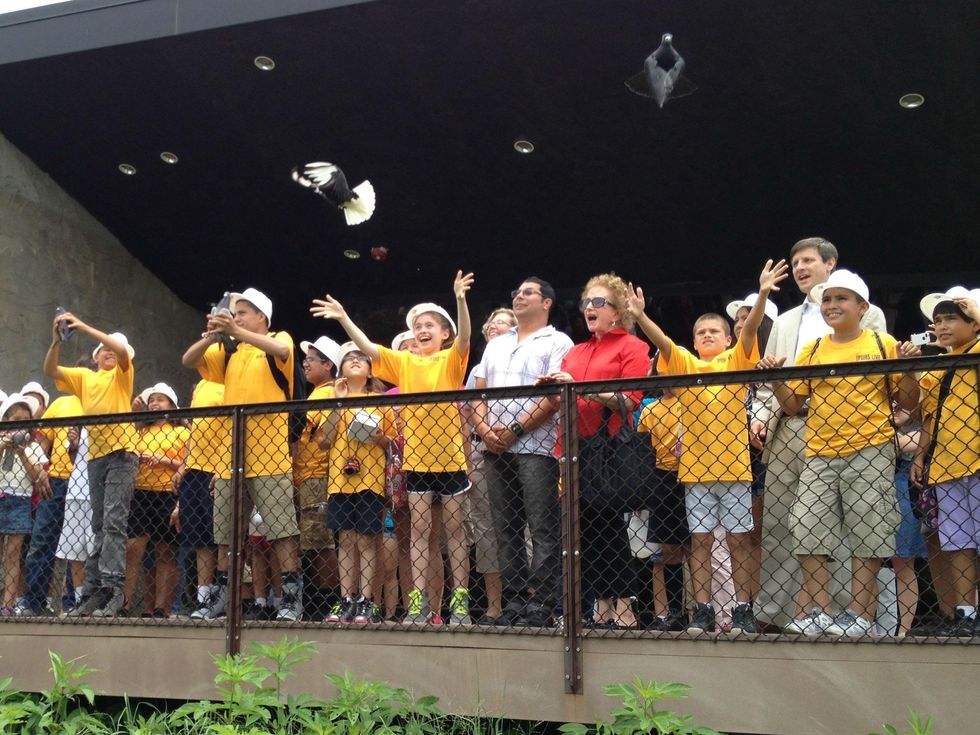 Pigeon release at Trinity River Audubon Center