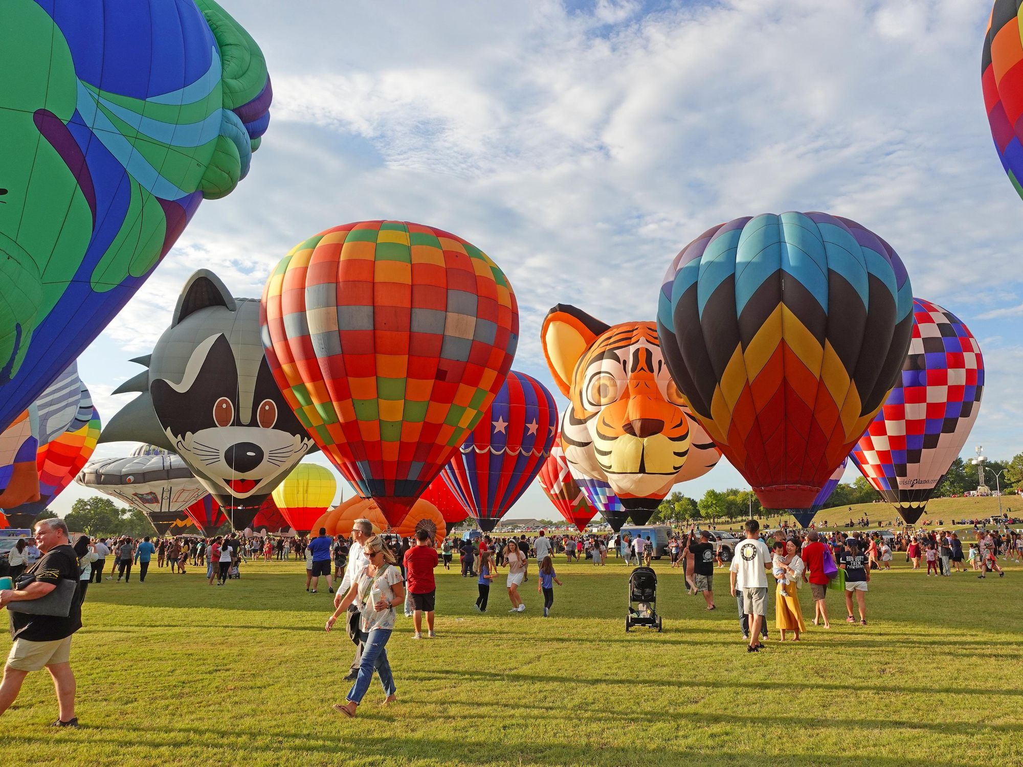 Your guide to the big balloon festival that lights up Plano in