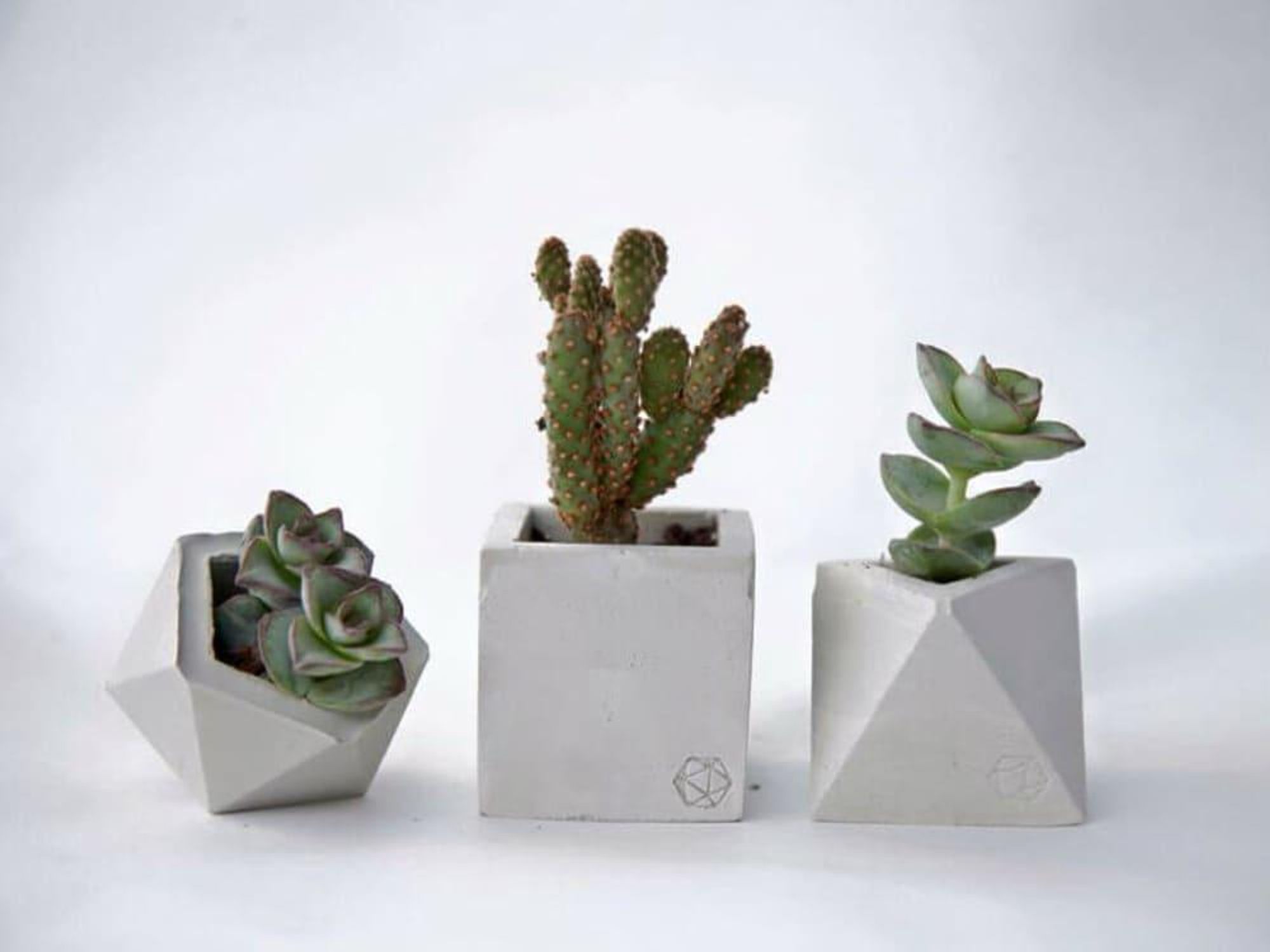 Planters from Concrete Geometric at Birchwood