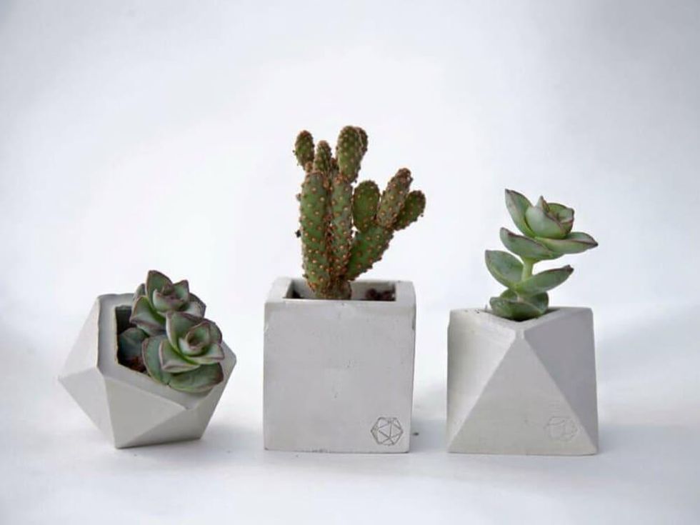 Planters from Concrete Geometric at Birchwood