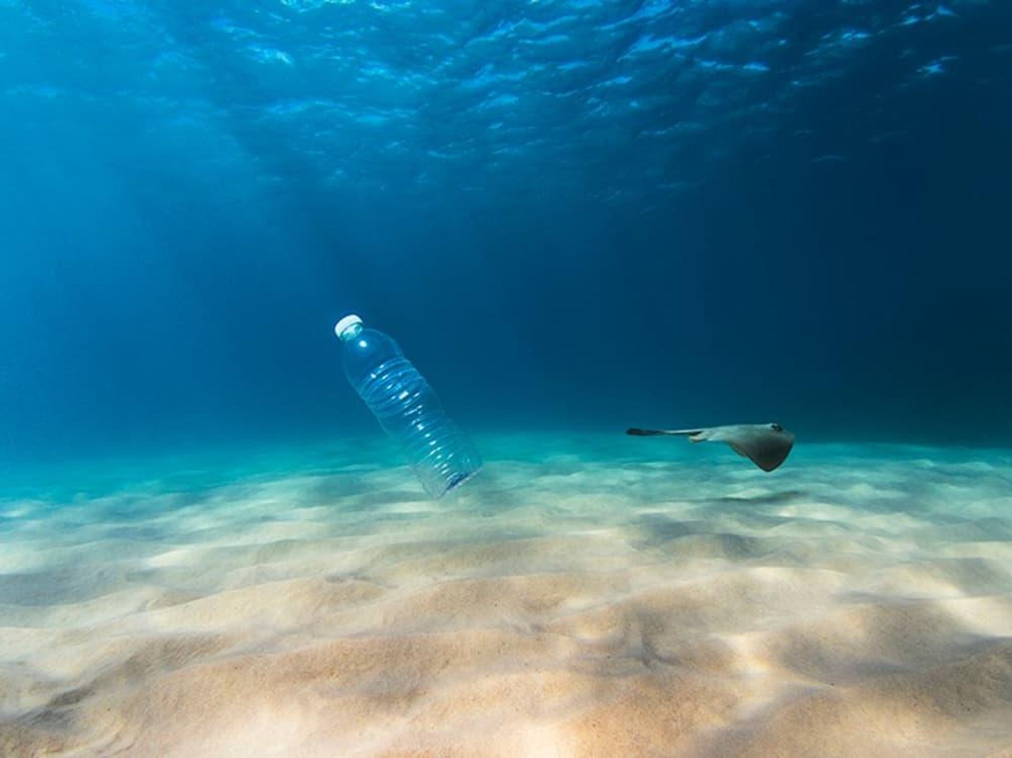 plastic bottle ocean