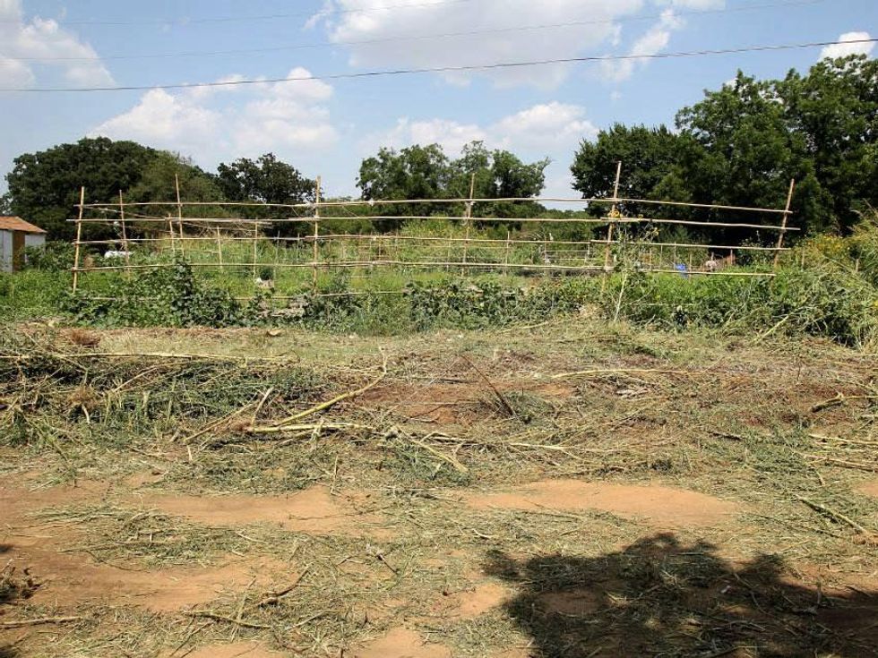police, Garden of Eden in Arlington