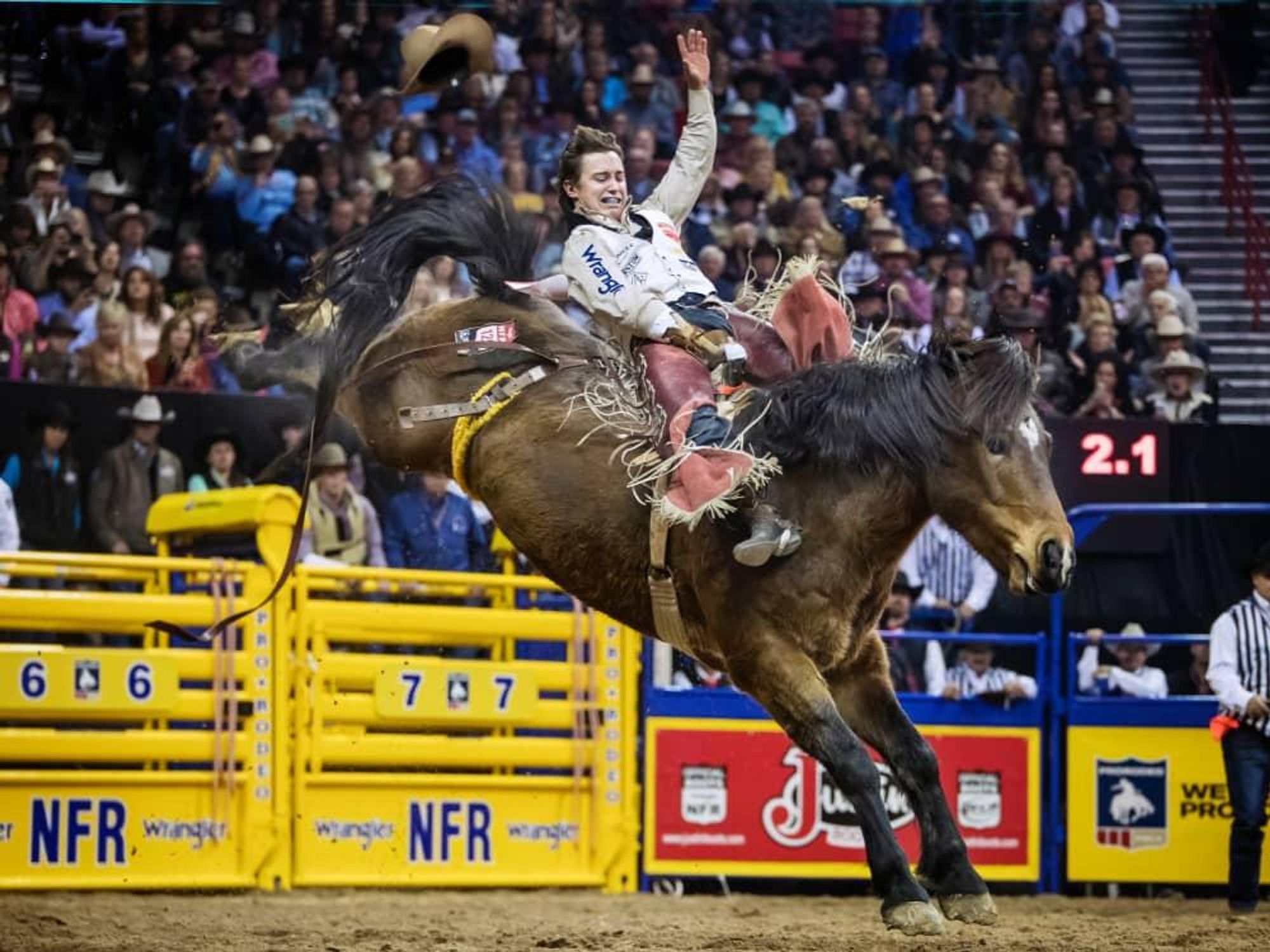 Globe Life Field wrangles 2020 National Finals Rodeo due to coronavirus -  CultureMap Dallas