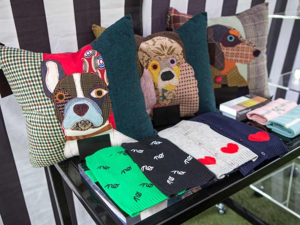 Puppies in the Park 2017