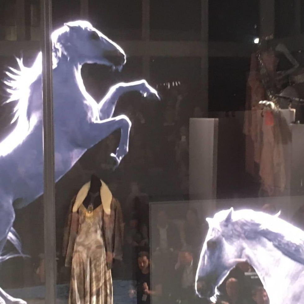 Ralph Lauren store window with video horses