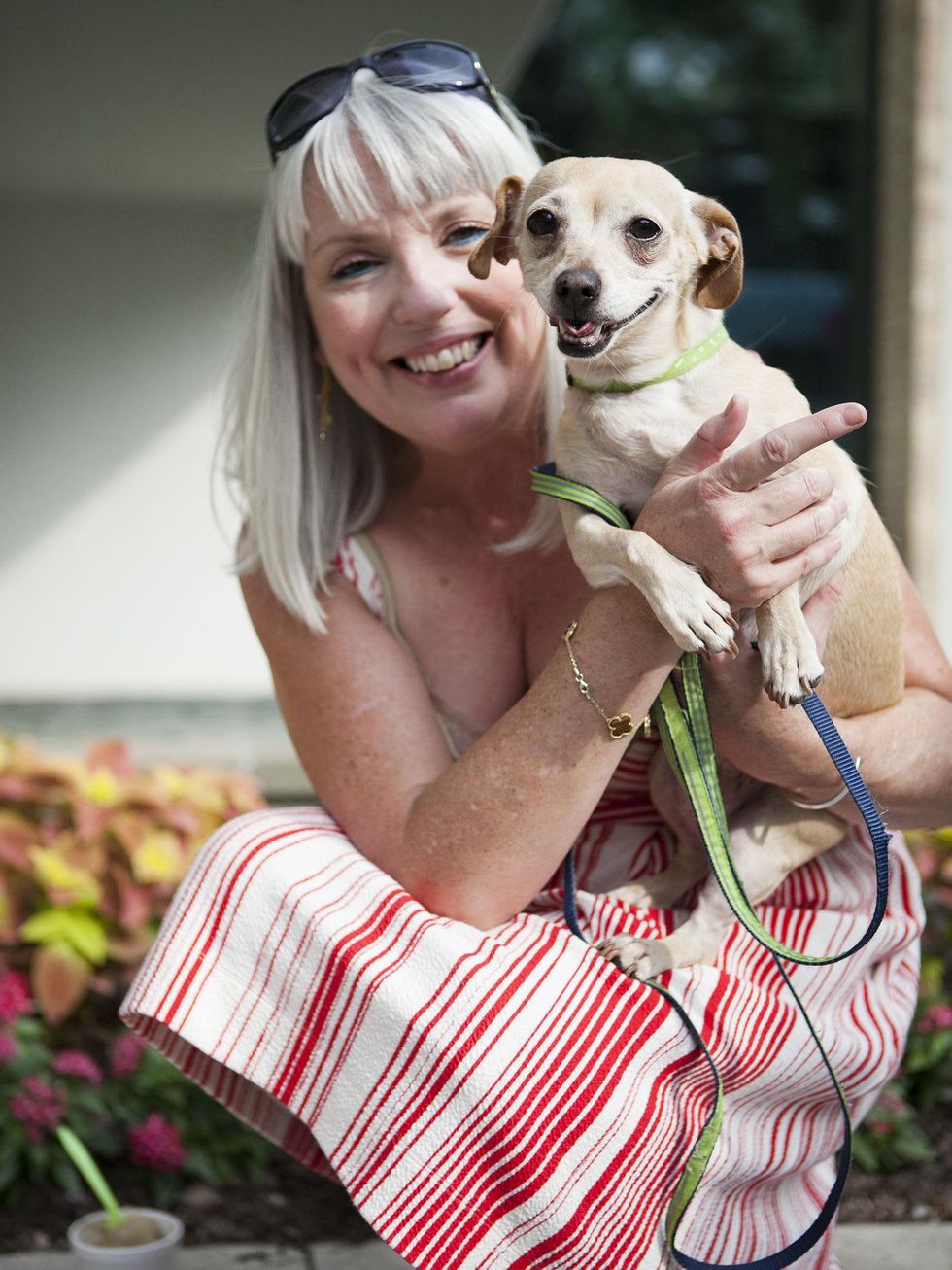 Renee Wooten, Abby, SPCA, Hotel Palomar