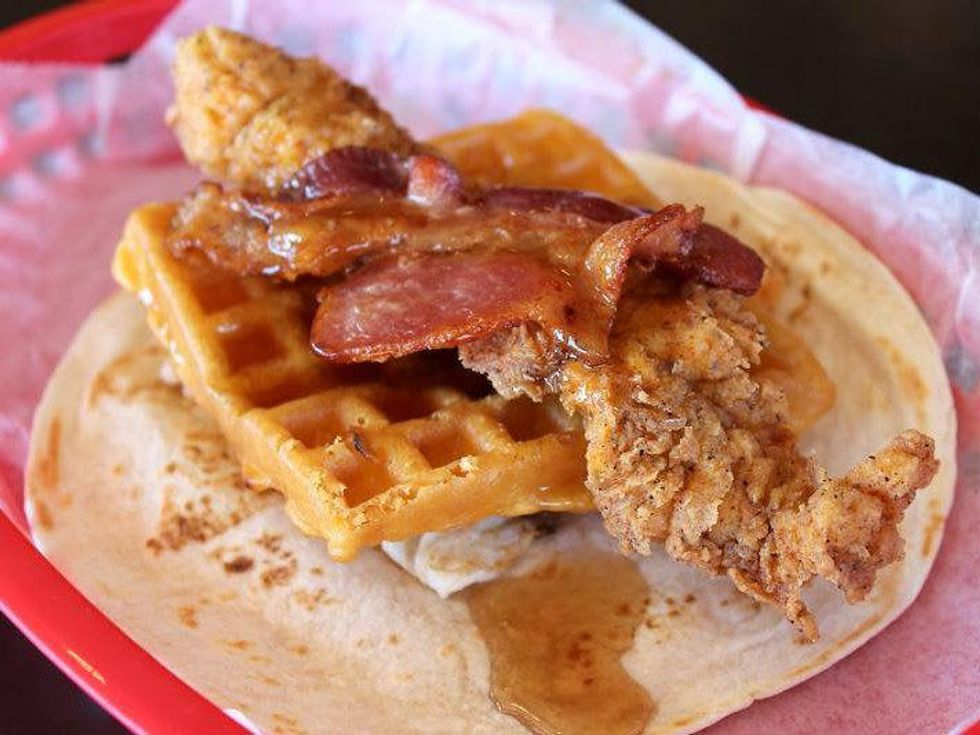 Roscoe at Torchy's Tacos