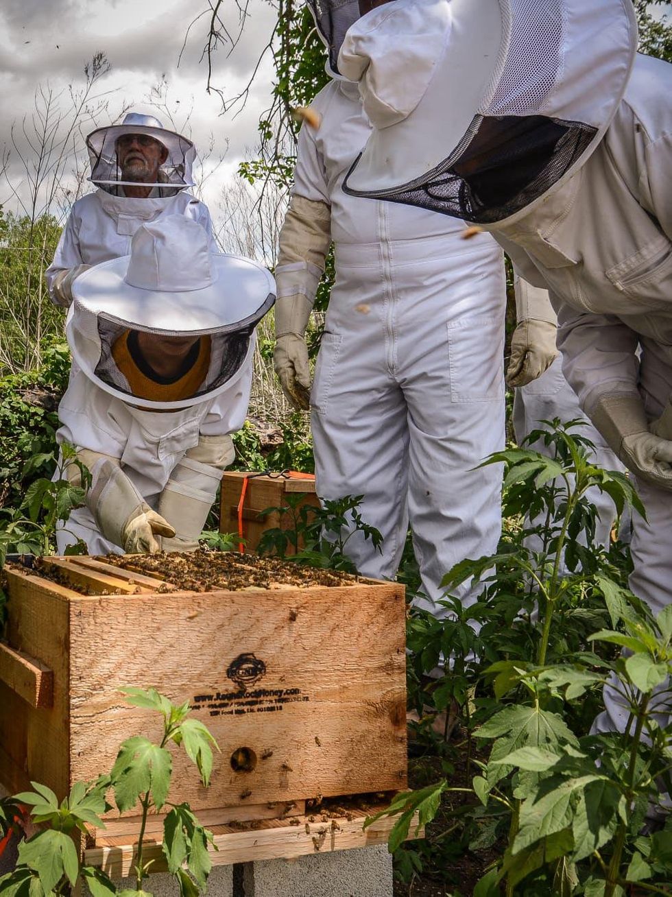 Round Rock Honey Beekeeping Class