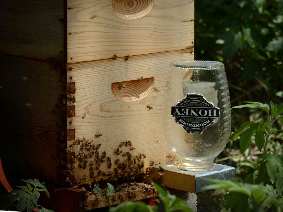 Round Rock Honey Beekeeping Class