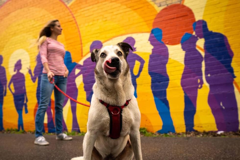 san marcos mural and dog