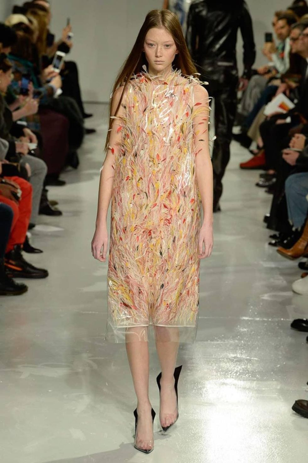 Sara Grace Wallerstedt