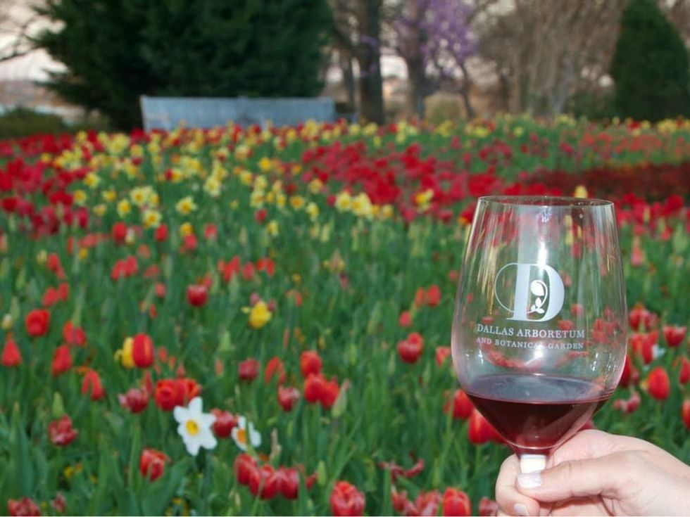 Savor Dallas Arboretum