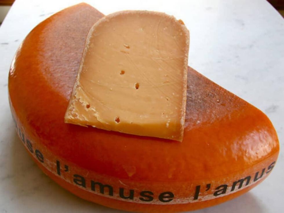 Scardello cheese