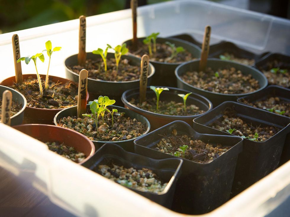 Texas farmer faces down climate change with water-saving program ...