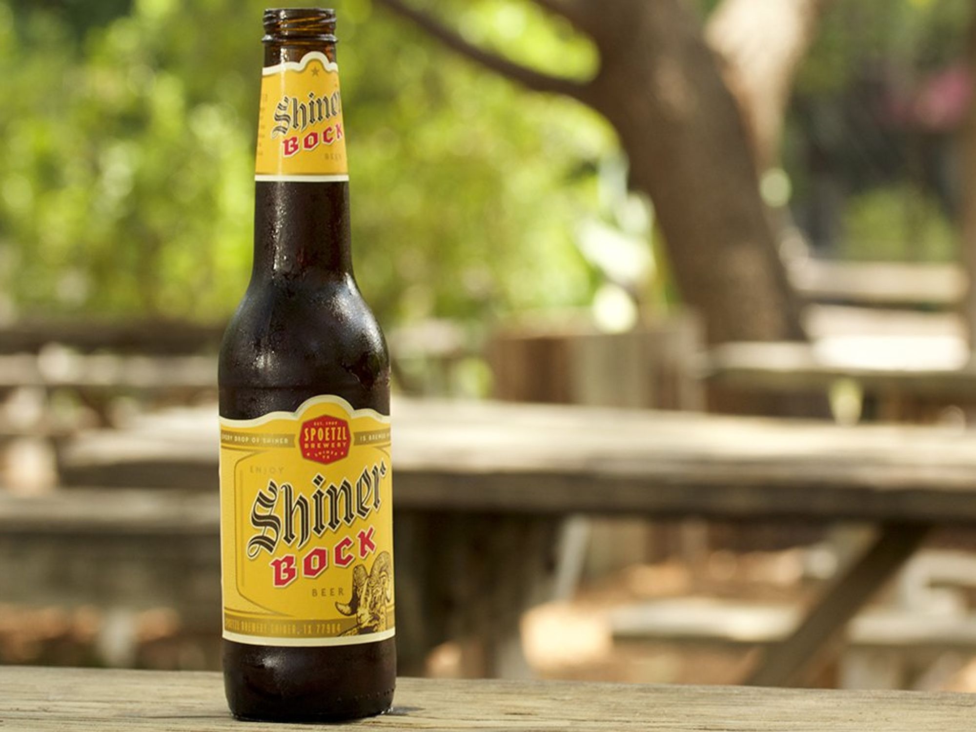 Shiner Beer
